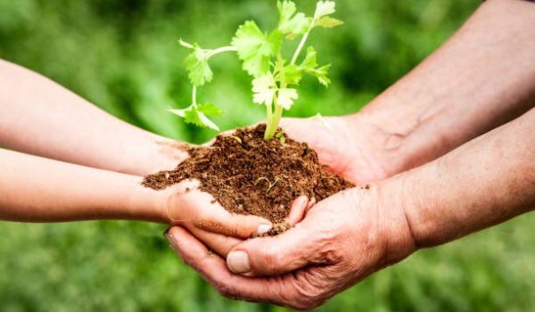 enrrhfv h A man and a child are holding a plant in their hands. The plant is a small herb and the two people are smiling. Concept of warmth and happiness
