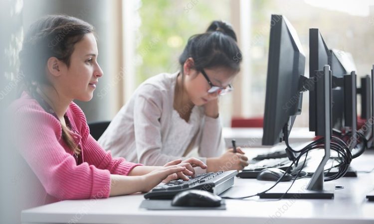 Girl students studying at computers Girl students studying at computers in library.